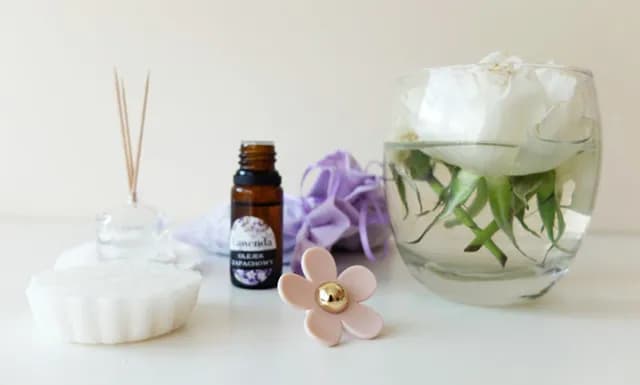 Skuteczne sposoby na to, co pochłania zapachy w kuchni i jak je stosować